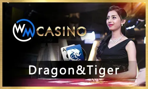 Fa Chai Slots Review